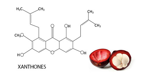 Xanthones Formula